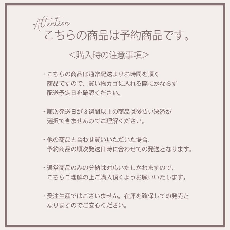 【美胸メイク】ダブルレース育乳ボリュームブラセットの画像2枚目