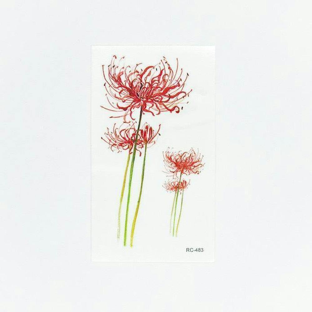 Red magic lily[ID: ssl0536]の画像1枚目
